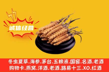 济南回收冬虫夏草